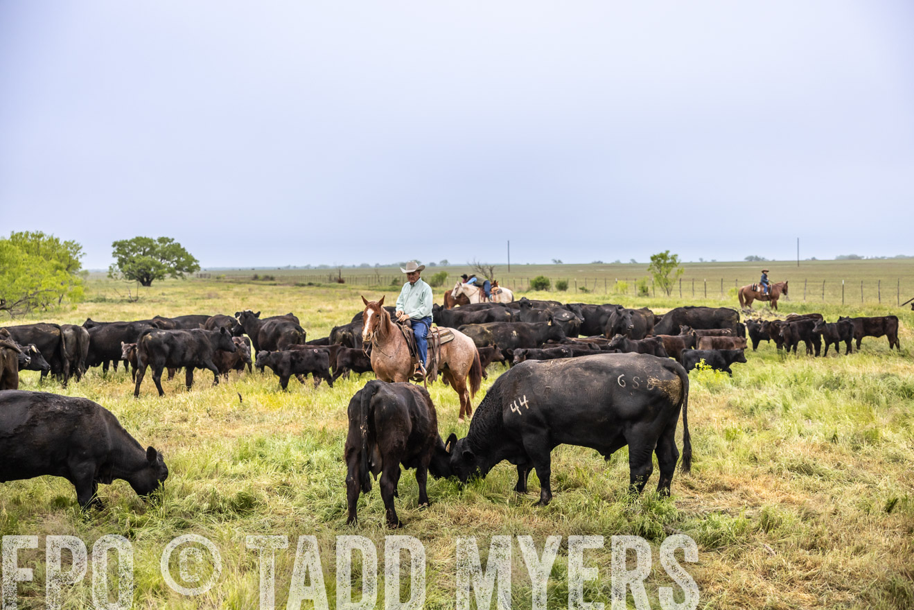 TMyers_PP_CircleBarRanch_TruscottTX_April2024-510904