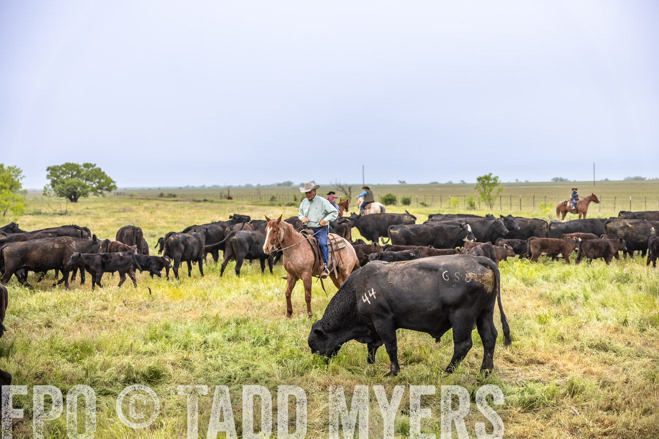 TMyers_PP_CircleBarRanch_TruscottTX_April2024-510907