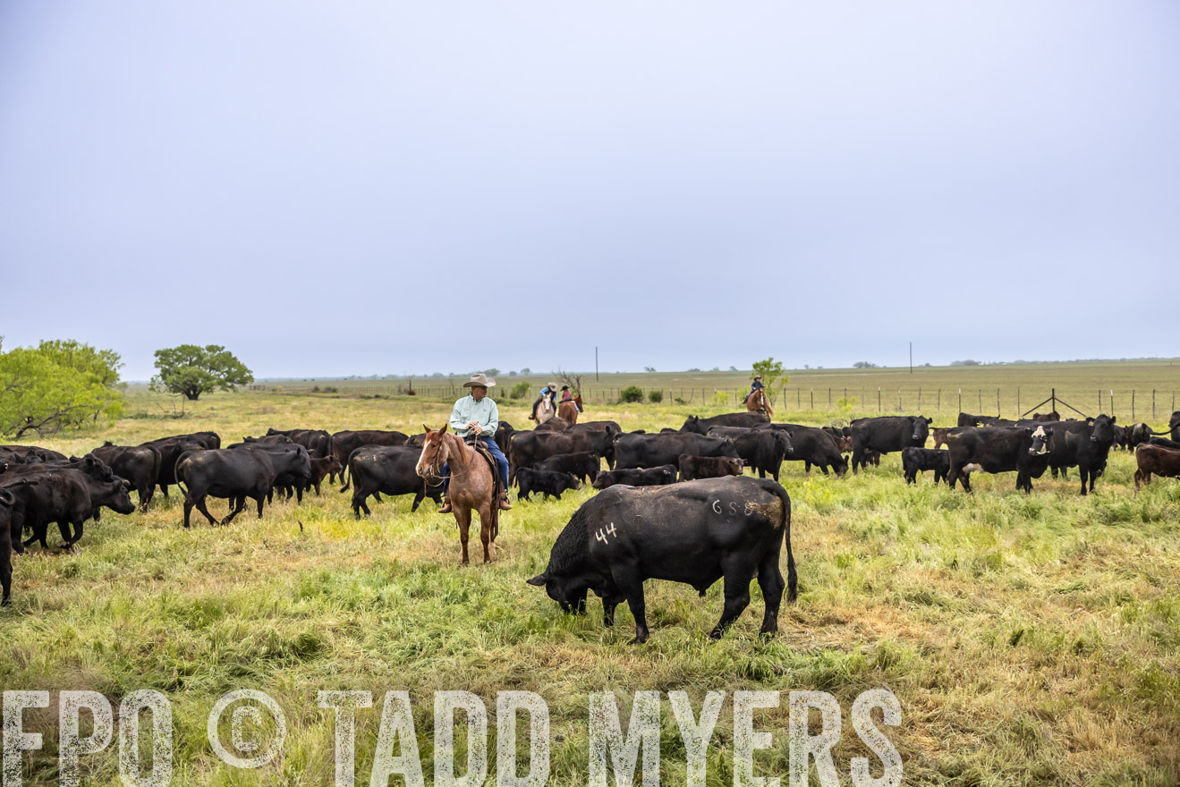TMyers_PP_CircleBarRanch_TruscottTX_April2024-510912