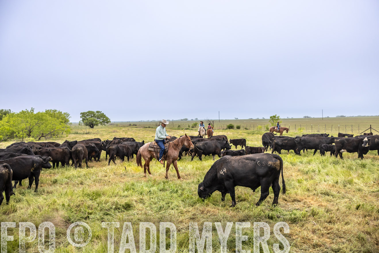 TMyers_PP_CircleBarRanch_TruscottTX_April2024-510915