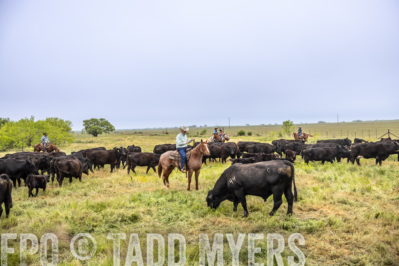 TMyers_PP_CircleBarRanch_TruscottTX_April2024-510918
