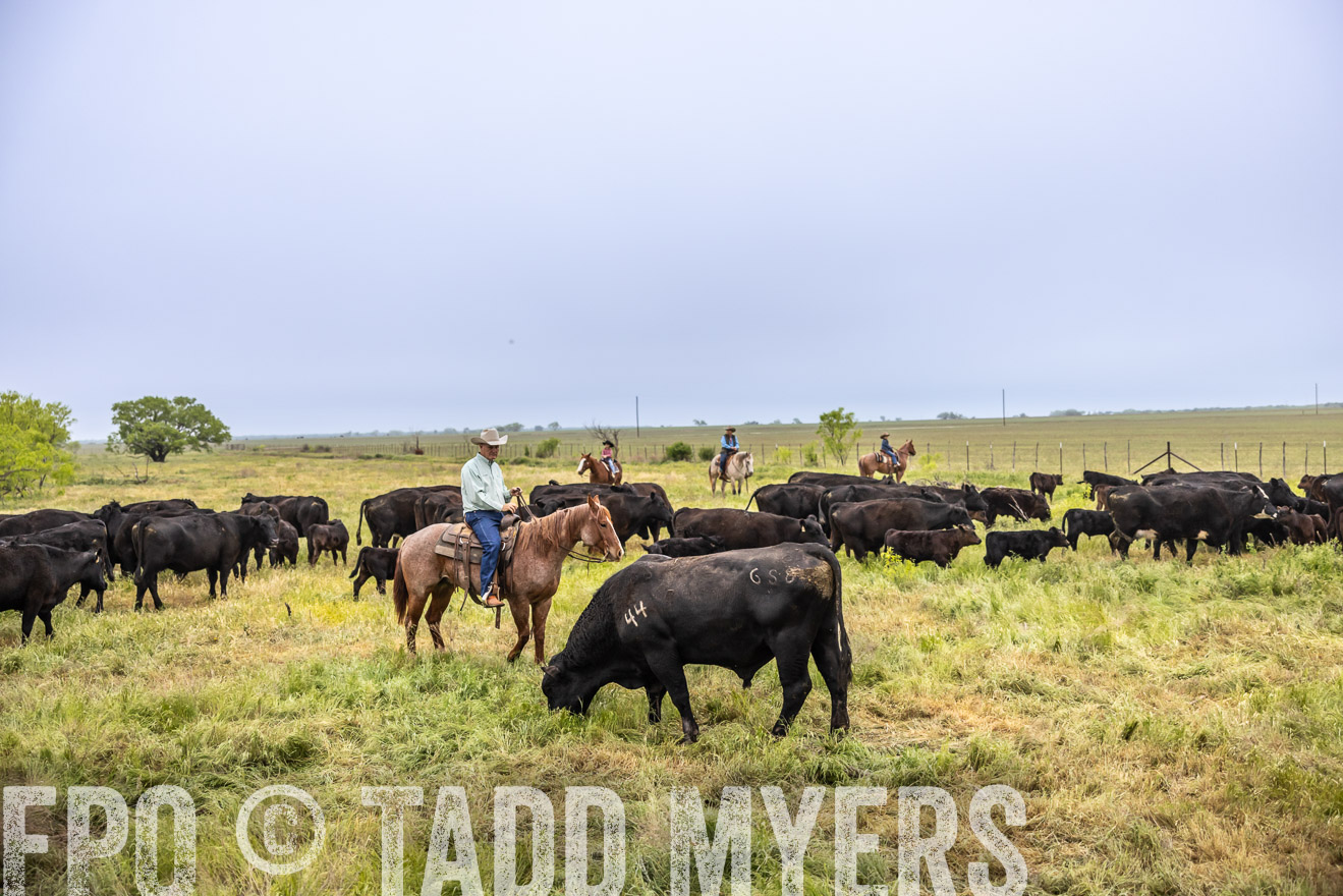 TMyers_PP_CircleBarRanch_TruscottTX_April2024-510920