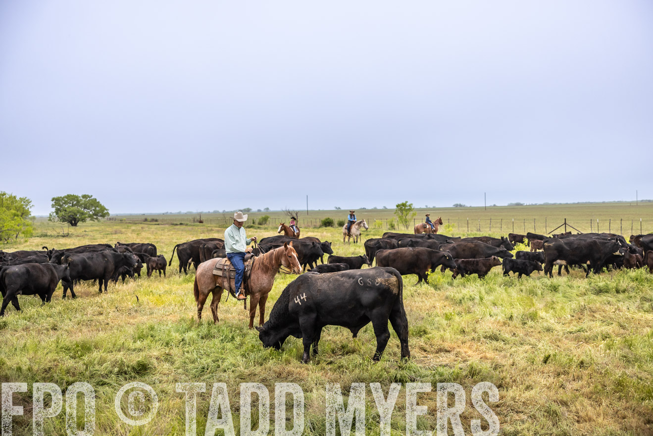 TMyers_PP_CircleBarRanch_TruscottTX_April2024-510922