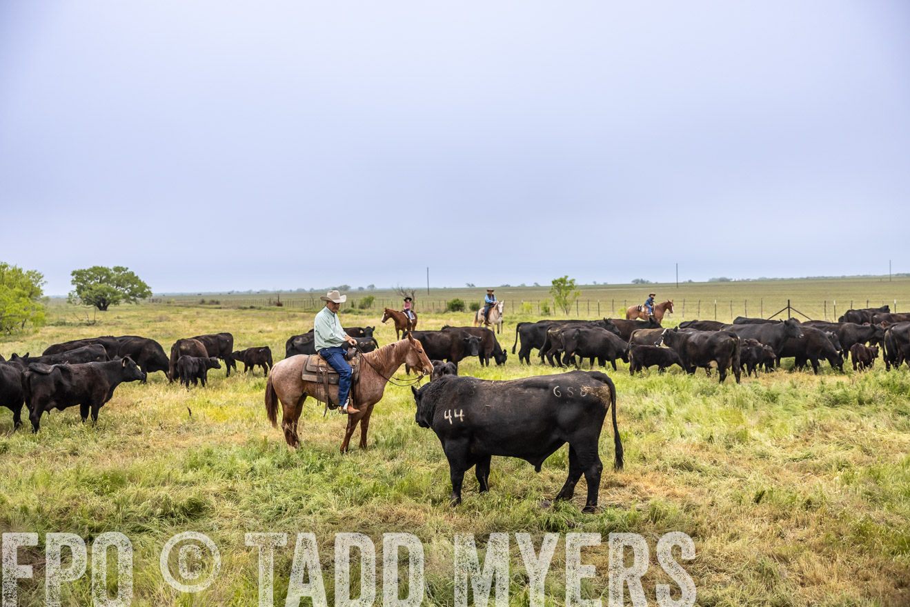 TMyers_PP_CircleBarRanch_TruscottTX_April2024-510926