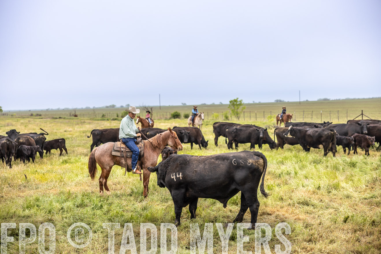TMyers_PP_CircleBarRanch_TruscottTX_April2024-510930