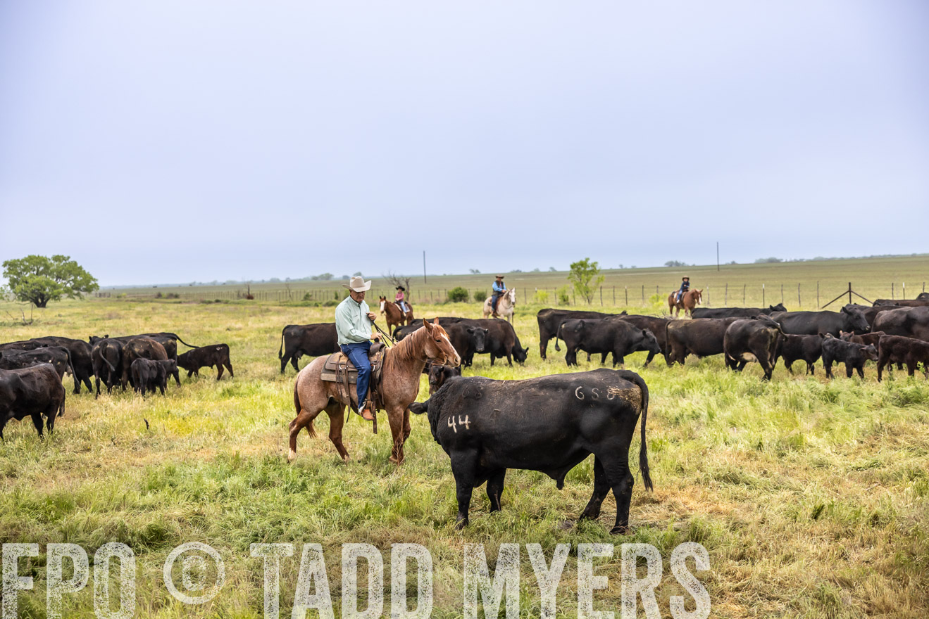 TMyers_PP_CircleBarRanch_TruscottTX_April2024-510933