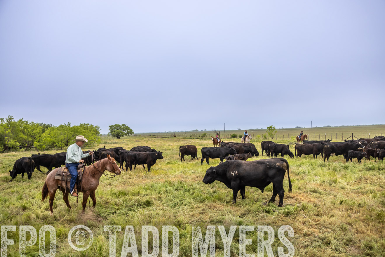 TMyers_PP_CircleBarRanch_TruscottTX_April2024-510939
