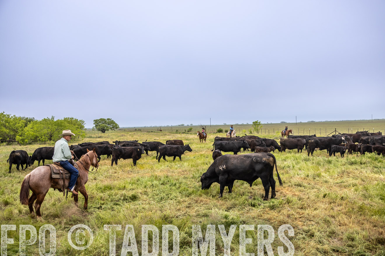TMyers_PP_CircleBarRanch_TruscottTX_April2024-510941