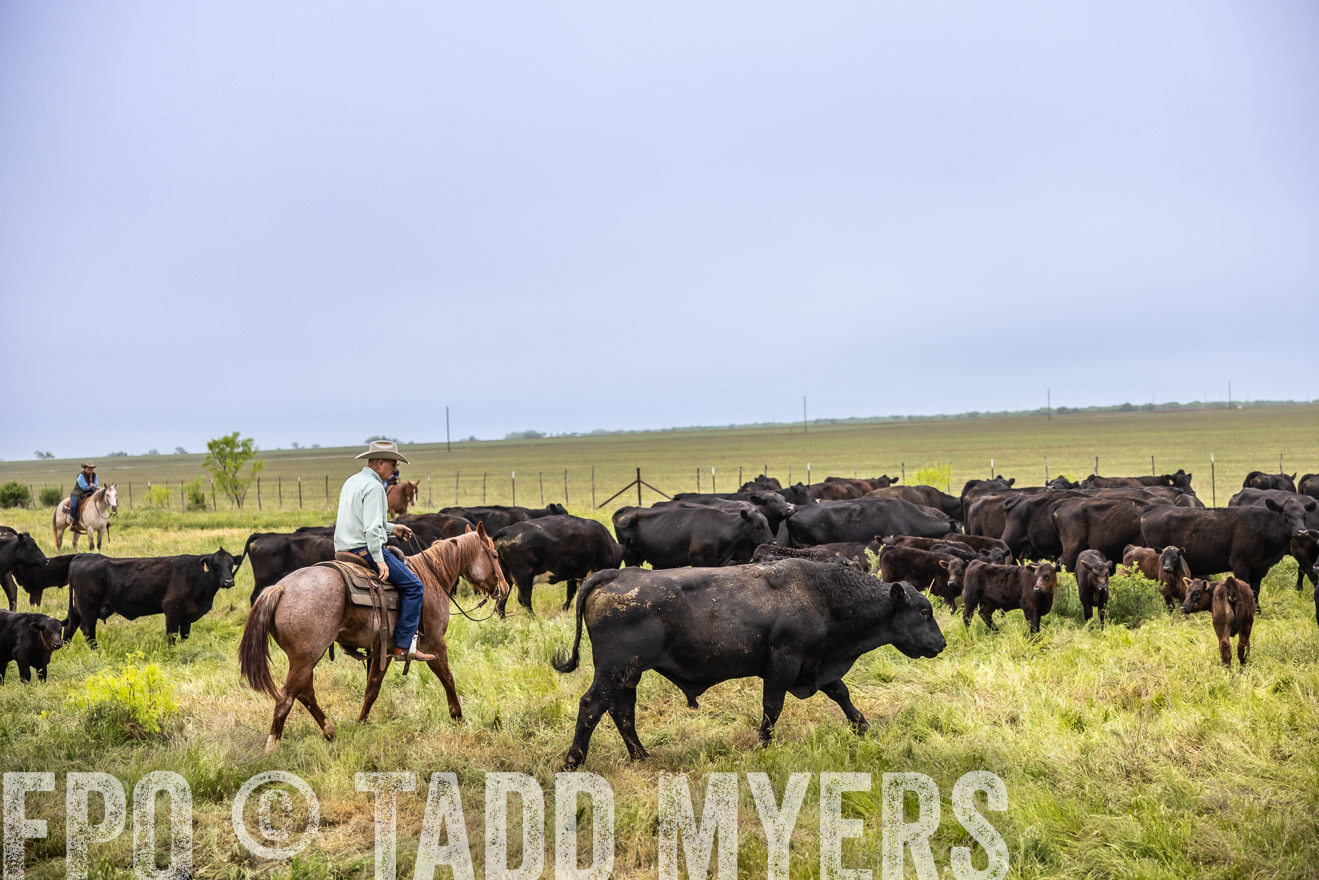 TMyers_PP_CircleBarRanch_TruscottTX_April2024-510947