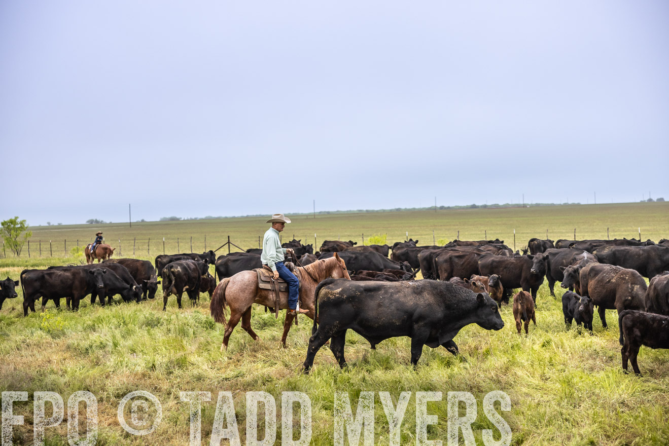 TMyers_PP_CircleBarRanch_TruscottTX_April2024-510954
