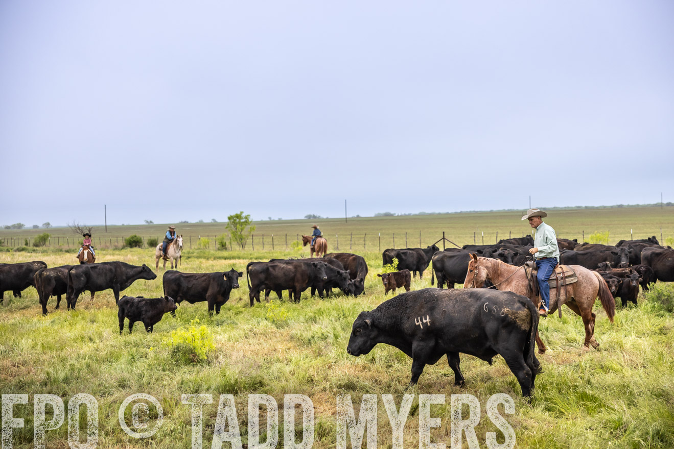 TMyers_PP_CircleBarRanch_TruscottTX_April2024-510968