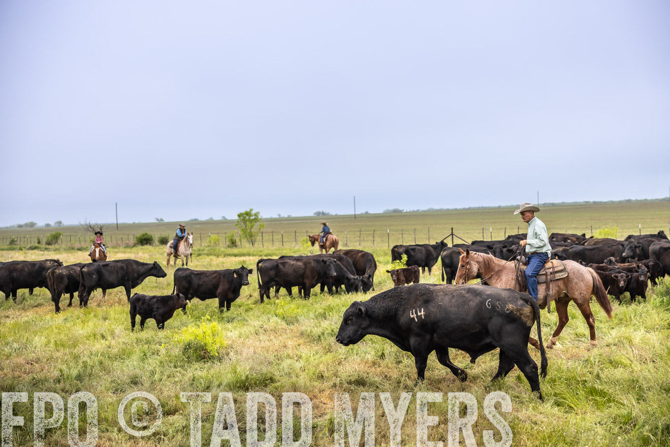 TMyers_PP_CircleBarRanch_TruscottTX_April2024-510970