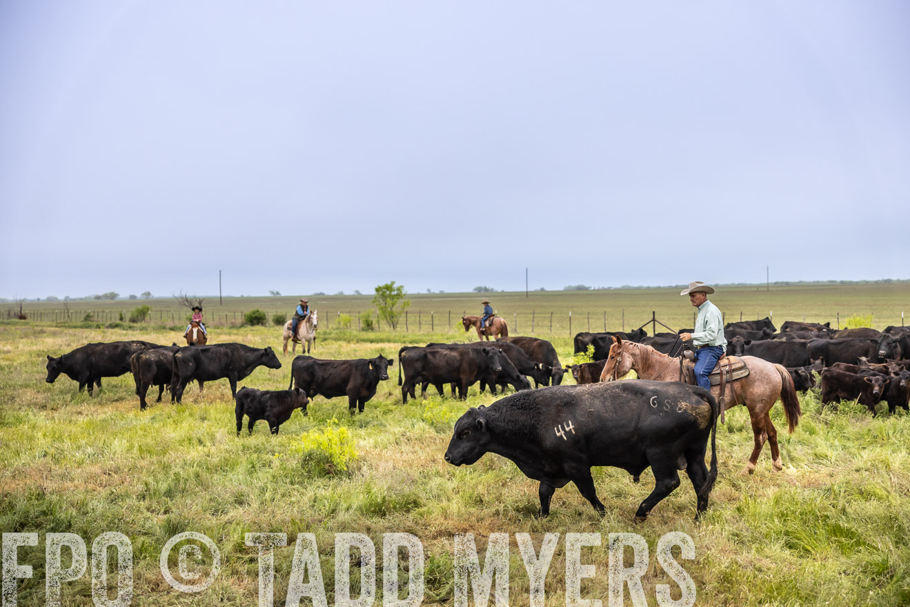 TMyers_PP_CircleBarRanch_TruscottTX_April2024-510971