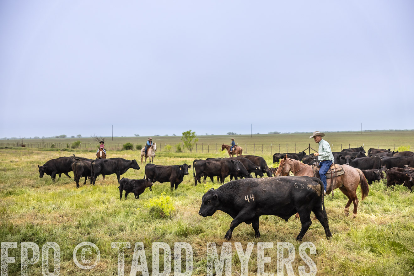 TMyers_PP_CircleBarRanch_TruscottTX_April2024-510974