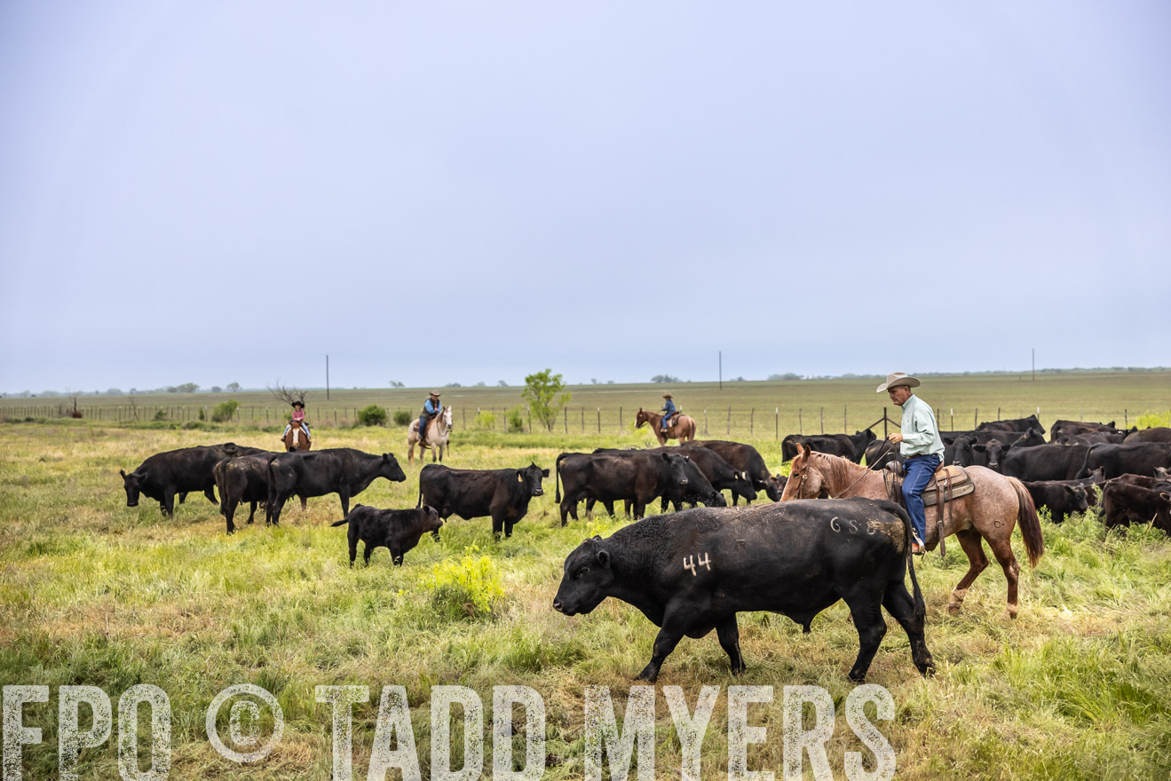 TMyers_PP_CircleBarRanch_TruscottTX_April2024-510975