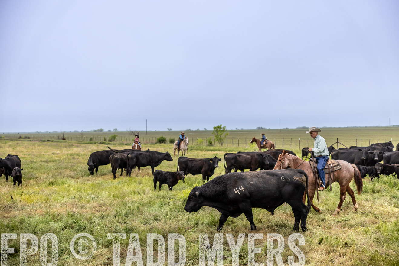 TMyers_PP_CircleBarRanch_TruscottTX_April2024-510982