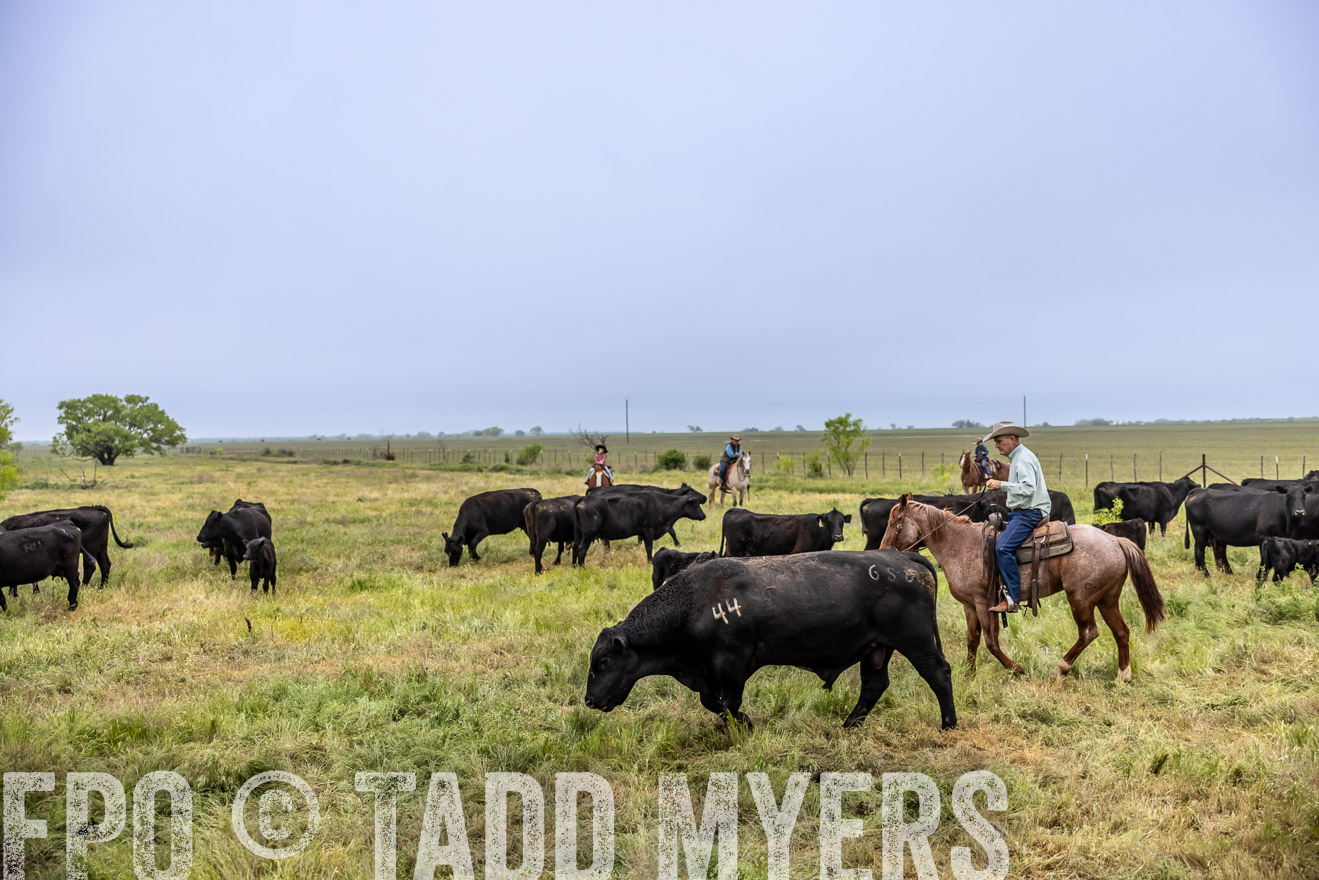 TMyers_PP_CircleBarRanch_TruscottTX_April2024-510985