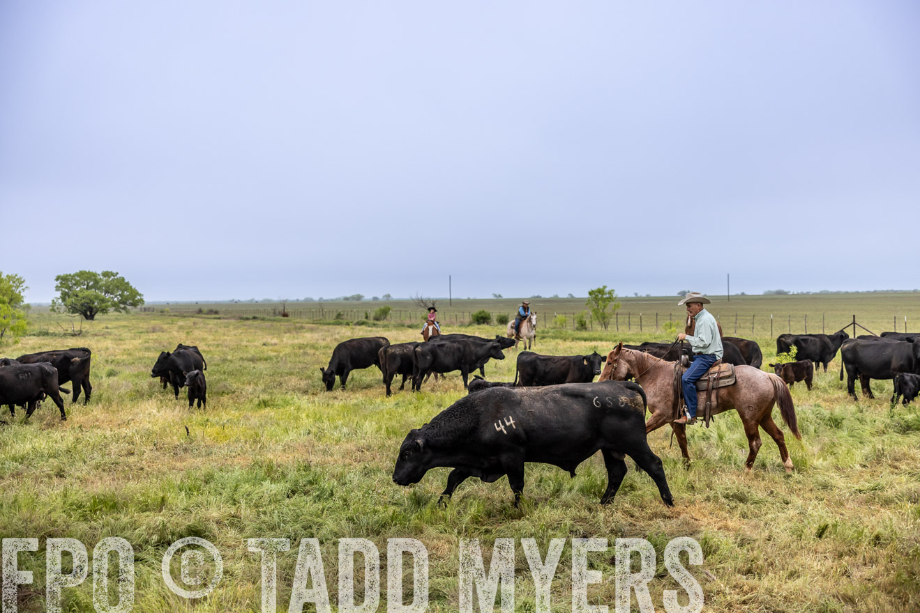 TMyers_PP_CircleBarRanch_TruscottTX_April2024-510987
