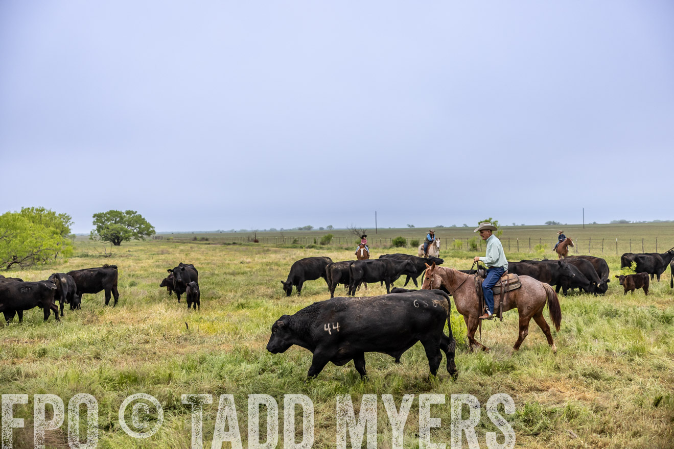TMyers_PP_CircleBarRanch_TruscottTX_April2024-510990