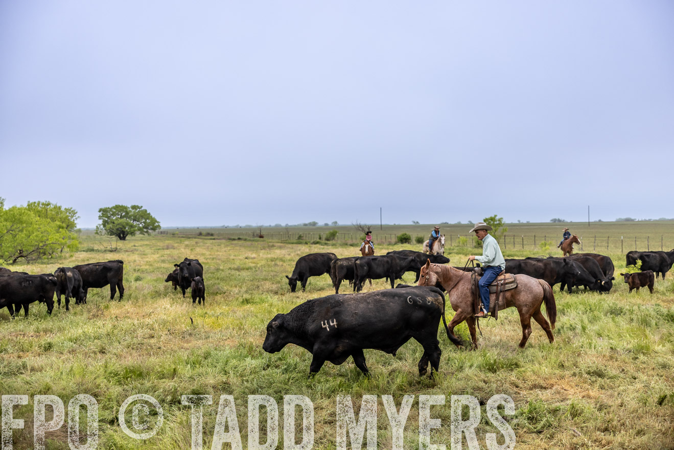 TMyers_PP_CircleBarRanch_TruscottTX_April2024-510991