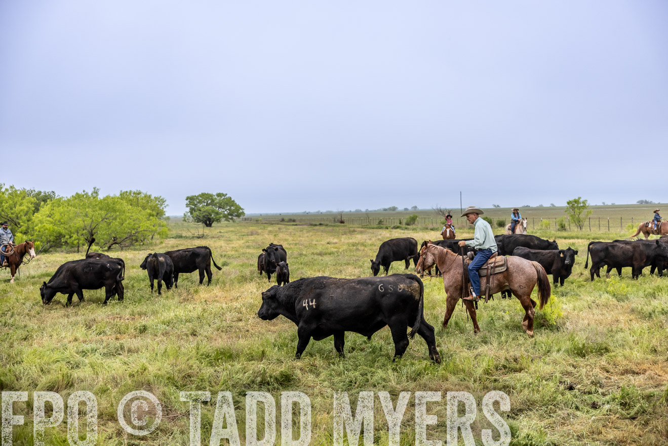 TMyers_PP_CircleBarRanch_TruscottTX_April2024-510992