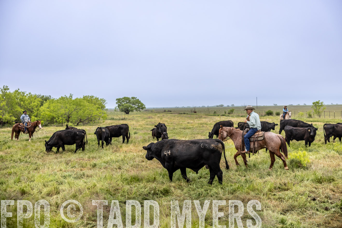 TMyers_PP_CircleBarRanch_TruscottTX_April2024-510996