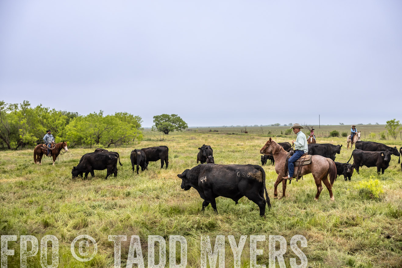 TMyers_PP_CircleBarRanch_TruscottTX_April2024-511000
