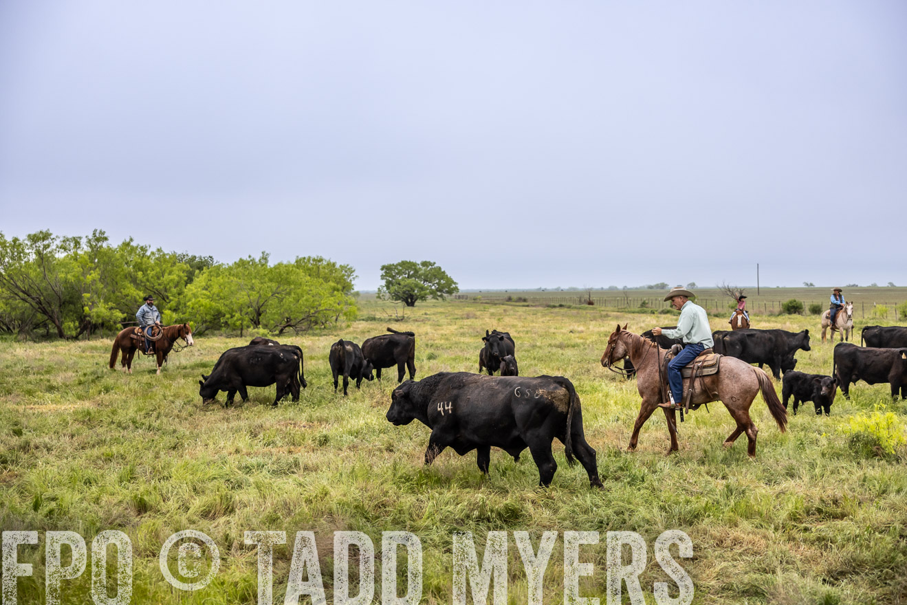 TMyers_PP_CircleBarRanch_TruscottTX_April2024-511002