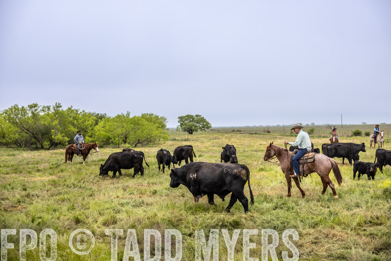 TMyers_PP_CircleBarRanch_TruscottTX_April2024-511005
