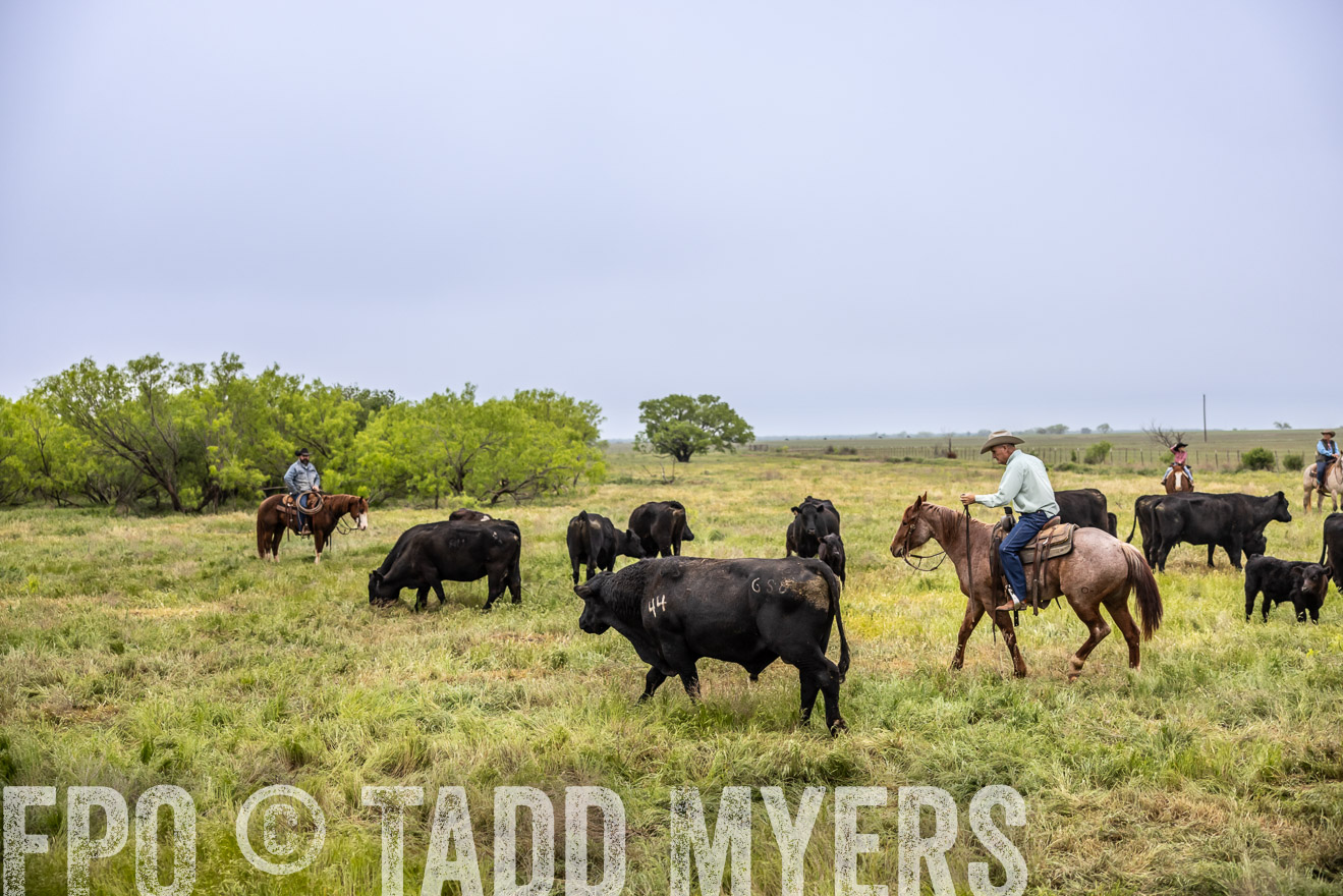 TMyers_PP_CircleBarRanch_TruscottTX_April2024-511008