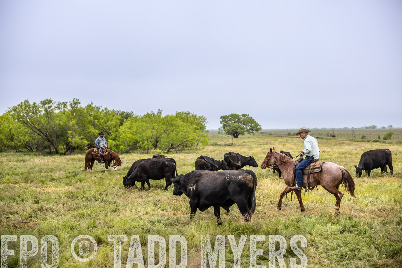 TMyers_PP_CircleBarRanch_TruscottTX_April2024-511009