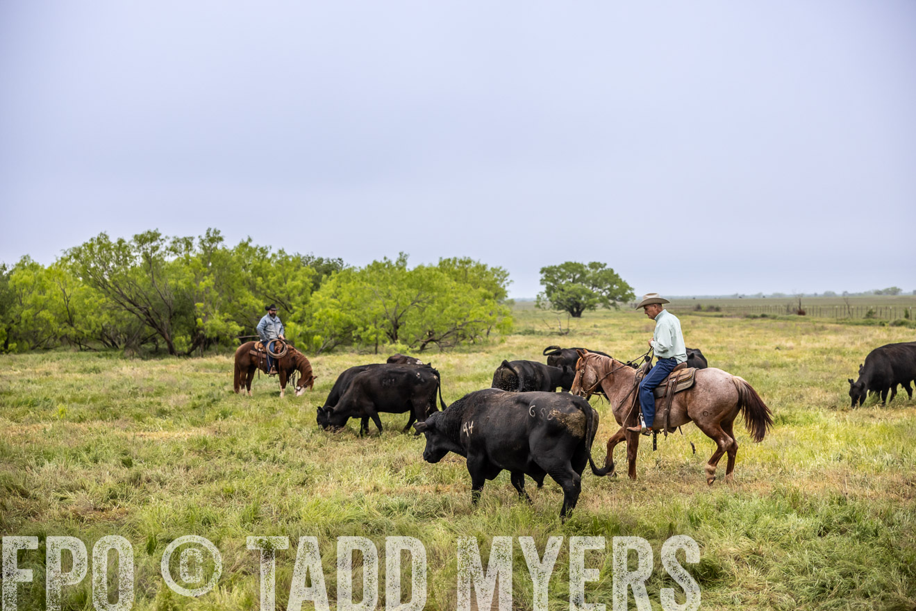 TMyers_PP_CircleBarRanch_TruscottTX_April2024-511014