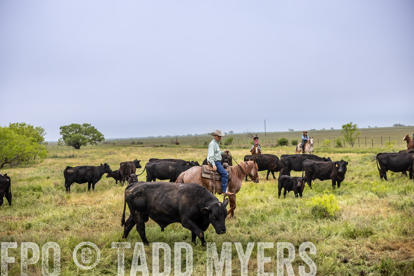 TMyers_PP_CircleBarRanch_TruscottTX_April2024-511023