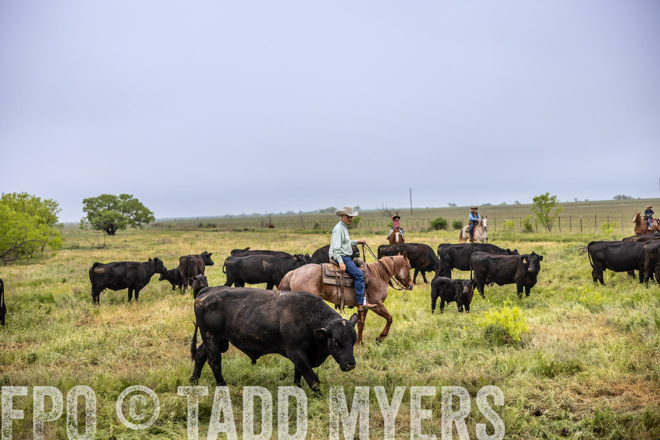 TMyers_PP_CircleBarRanch_TruscottTX_April2024-511024