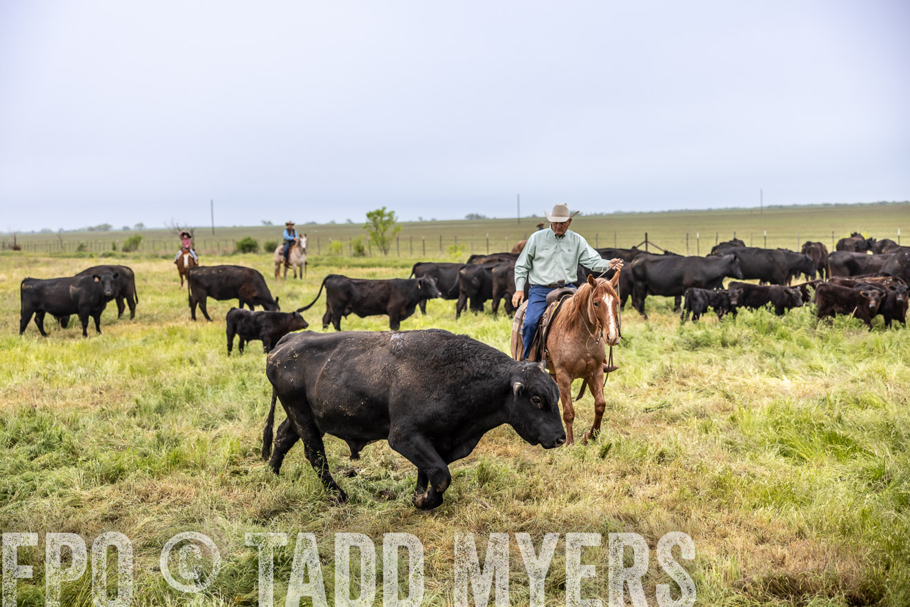 TMyers_PP_CircleBarRanch_TruscottTX_April2024-511037