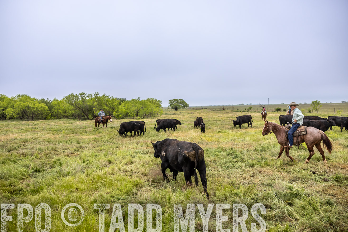 TMyers_PP_CircleBarRanch_TruscottTX_April2024-511063