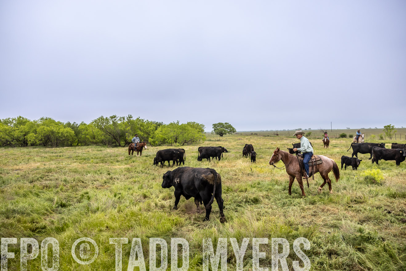 TMyers_PP_CircleBarRanch_TruscottTX_April2024-511072