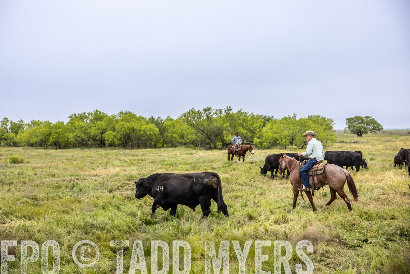 TMyers_PP_CircleBarRanch_TruscottTX_April2024-511092
