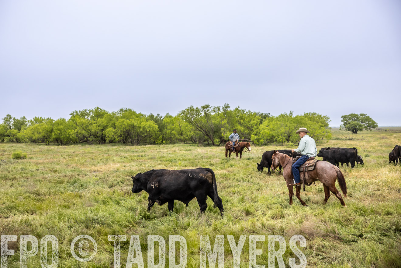 TMyers_PP_CircleBarRanch_TruscottTX_April2024-511093
