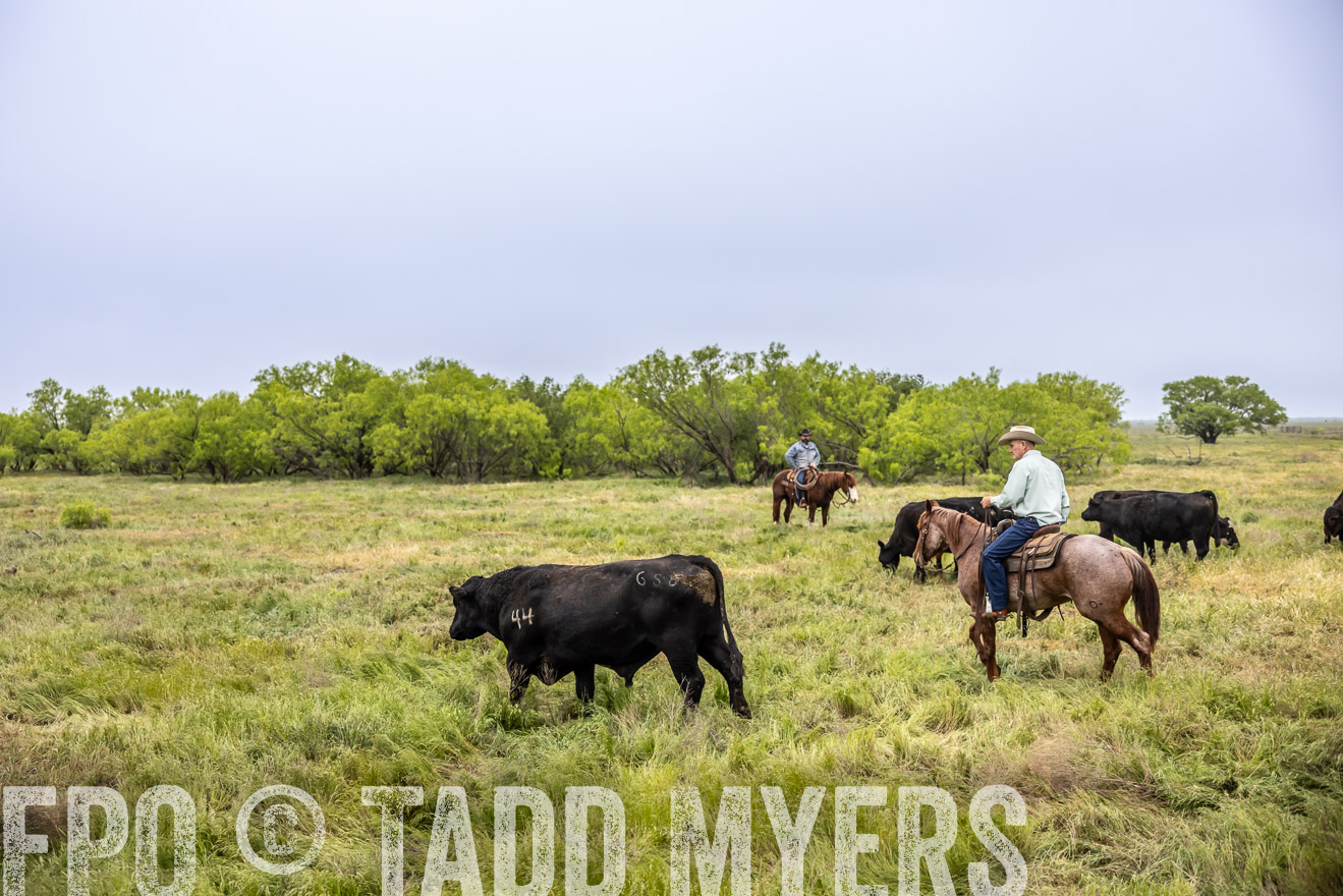 TMyers_PP_CircleBarRanch_TruscottTX_April2024-511094