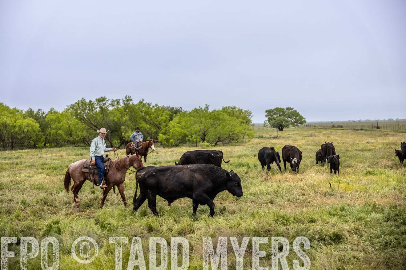 TMyers_PP_CircleBarRanch_TruscottTX_April2024-511109