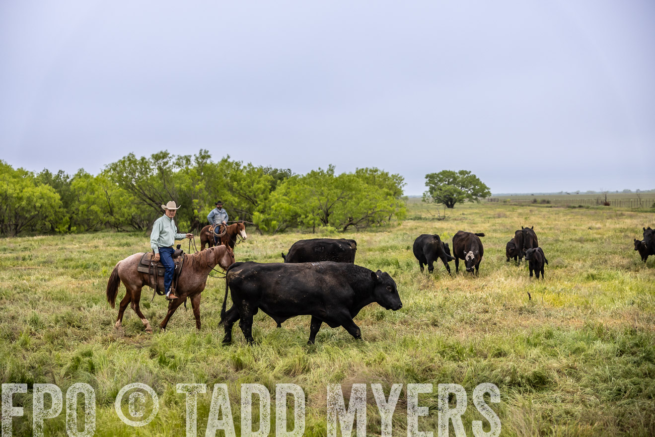 TMyers_PP_CircleBarRanch_TruscottTX_April2024-511110