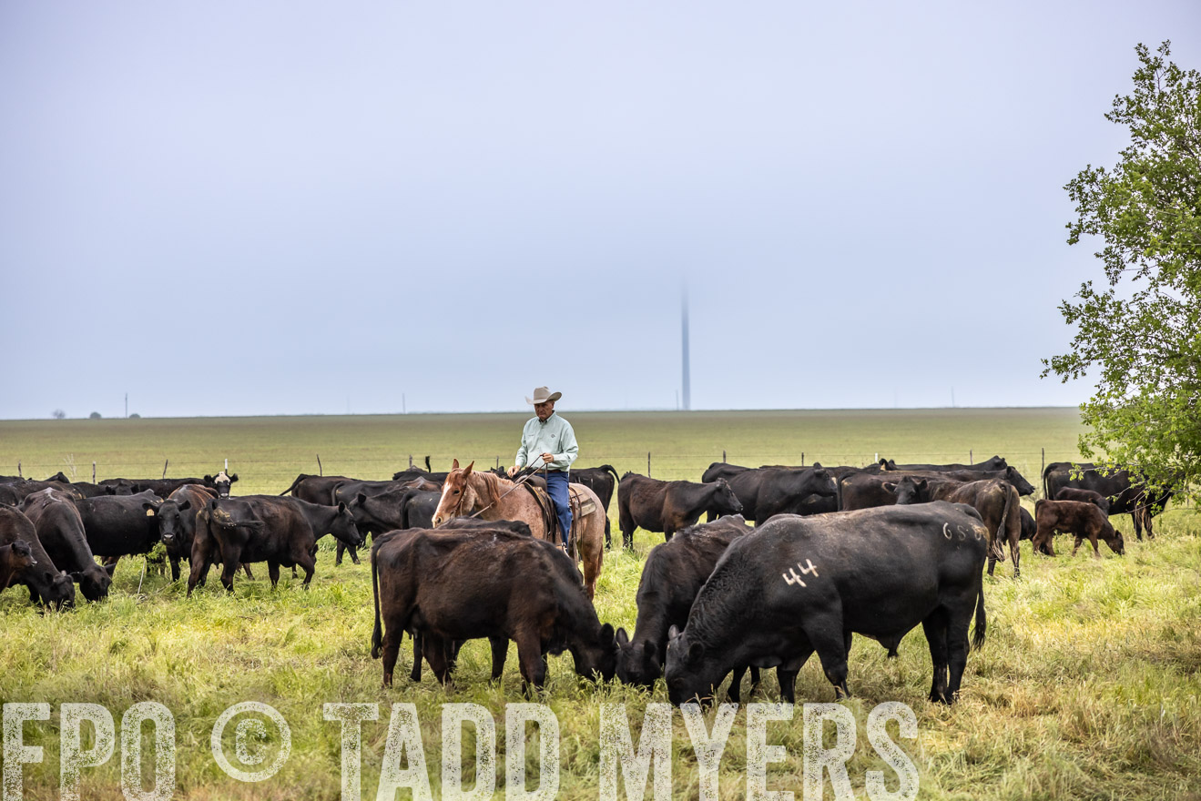 TMyers_PP_CircleBarRanch_TruscottTX_April2024-511112