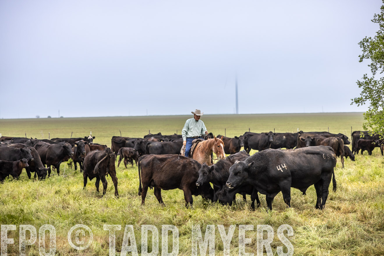 TMyers_PP_CircleBarRanch_TruscottTX_April2024-511115