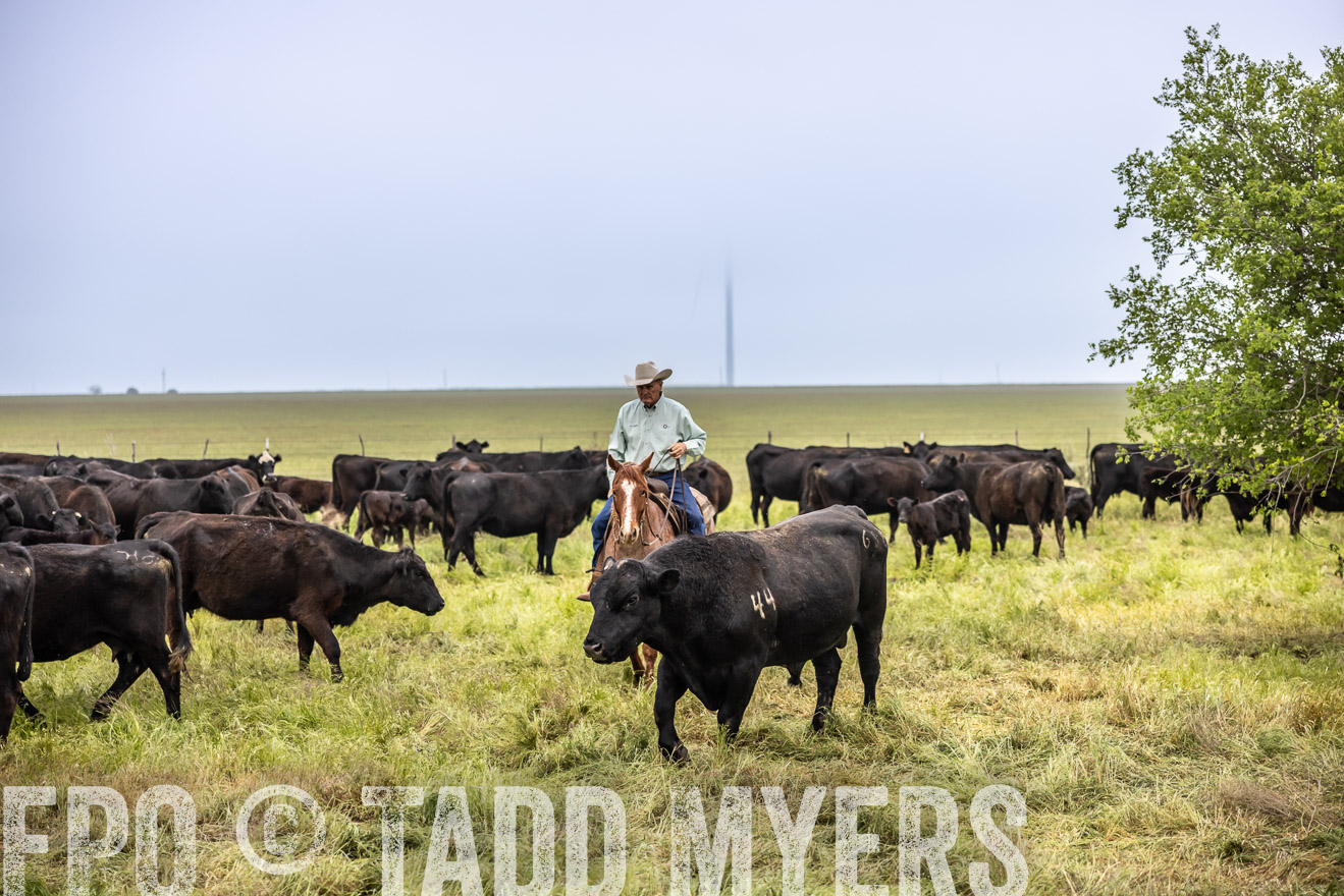 TMyers_PP_CircleBarRanch_TruscottTX_April2024-511126