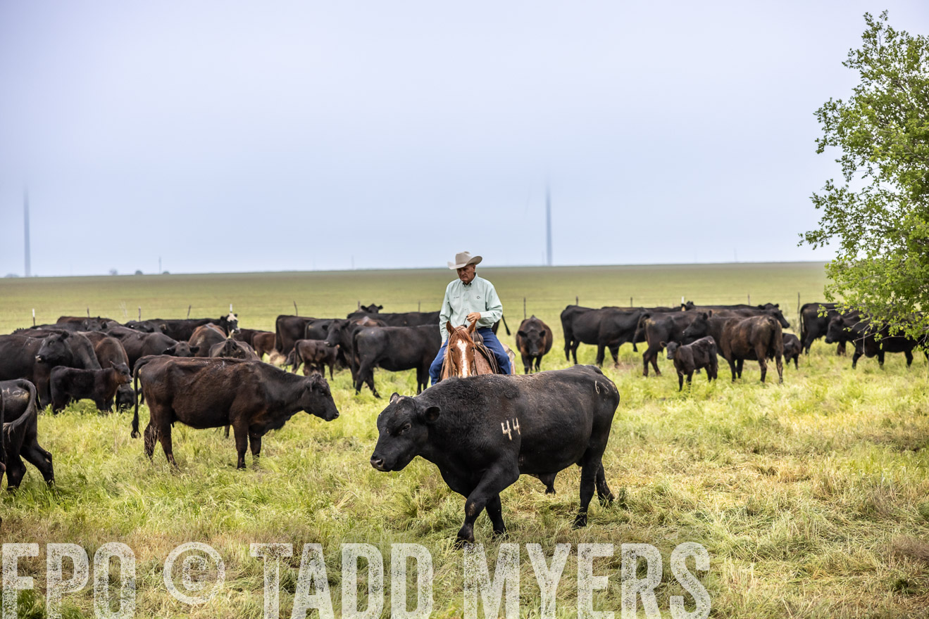 TMyers_PP_CircleBarRanch_TruscottTX_April2024-511128