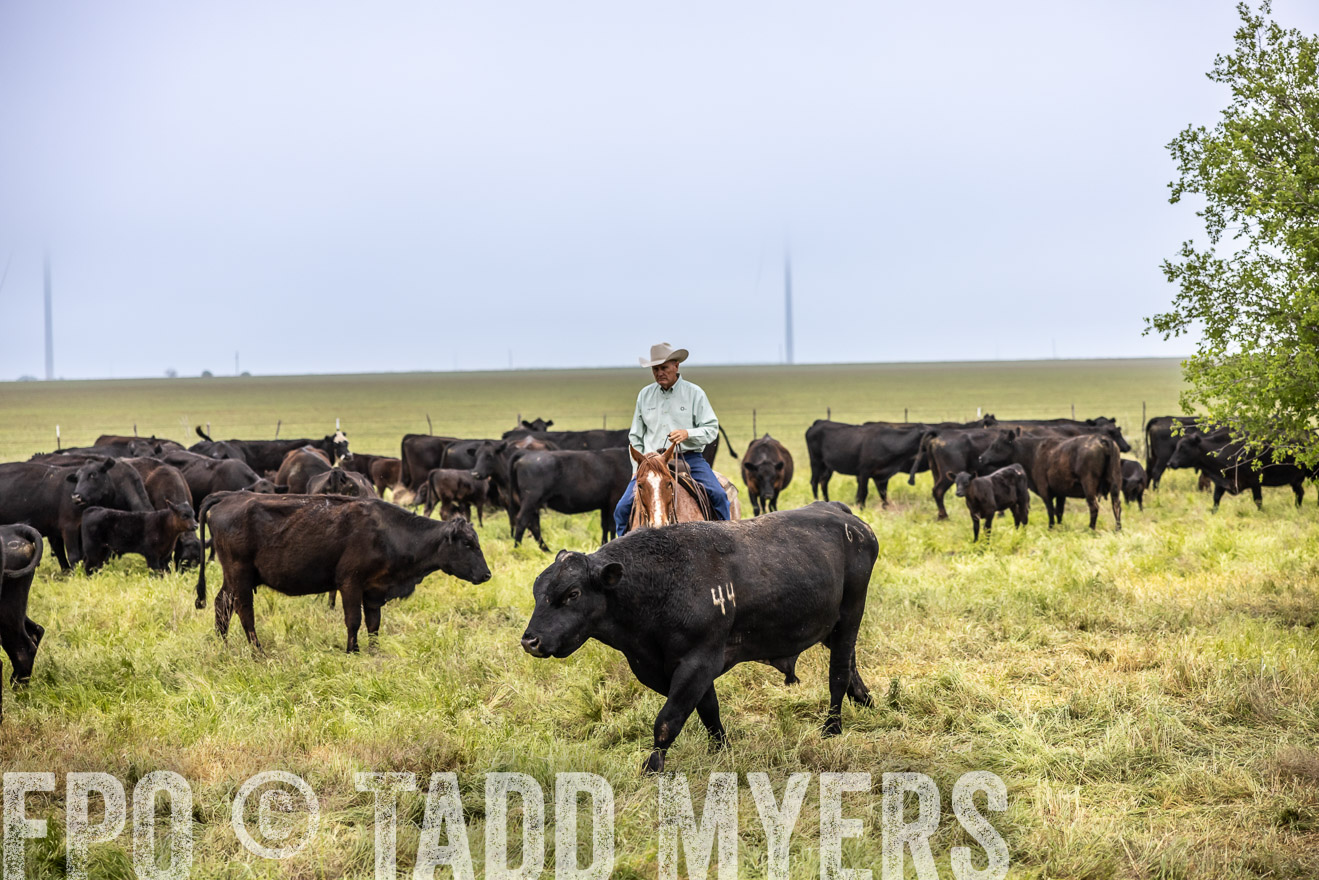 TMyers_PP_CircleBarRanch_TruscottTX_April2024-511129