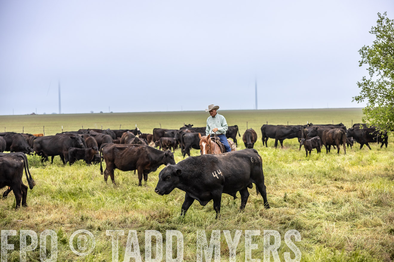 TMyers_PP_CircleBarRanch_TruscottTX_April2024-511130