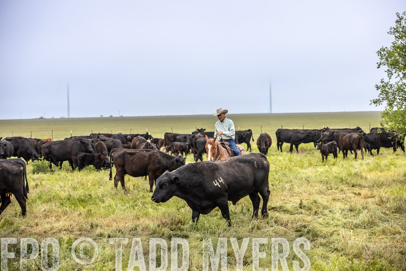 TMyers_PP_CircleBarRanch_TruscottTX_April2024-511132