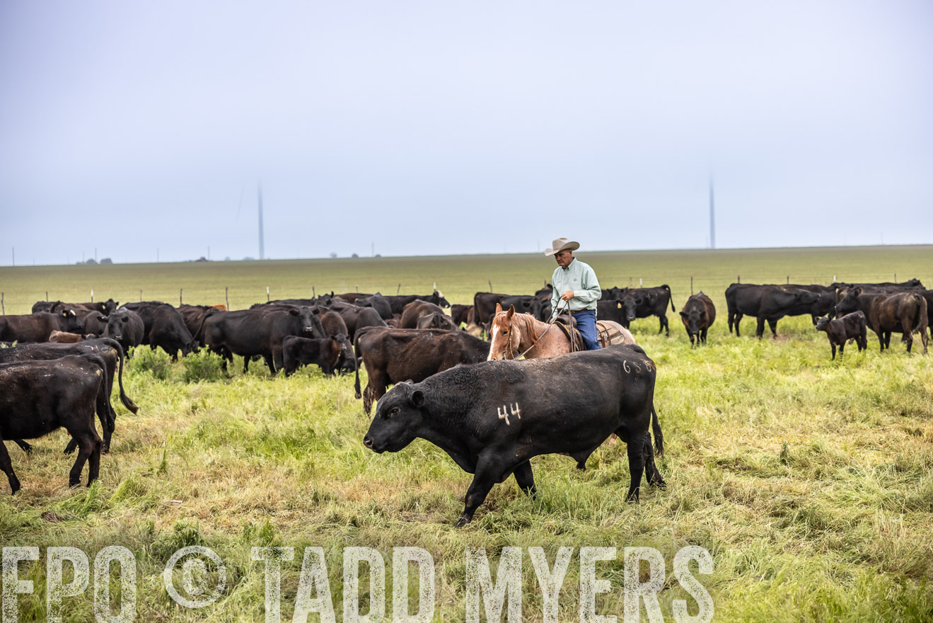TMyers_PP_CircleBarRanch_TruscottTX_April2024-511134